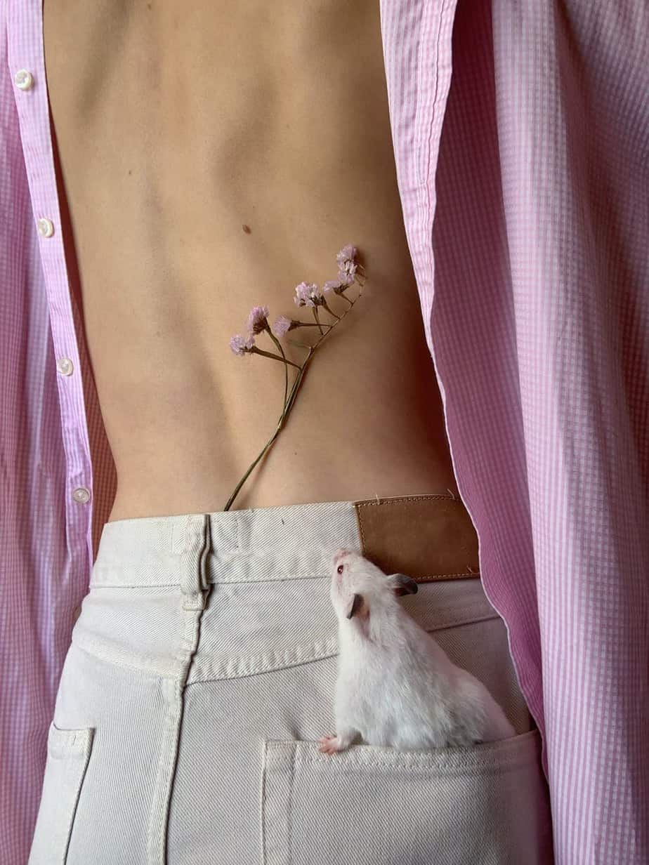 person with small flower and rat in pocket